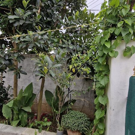 Malgudi Mane Homestay Чикмагалур Экстерьер фото