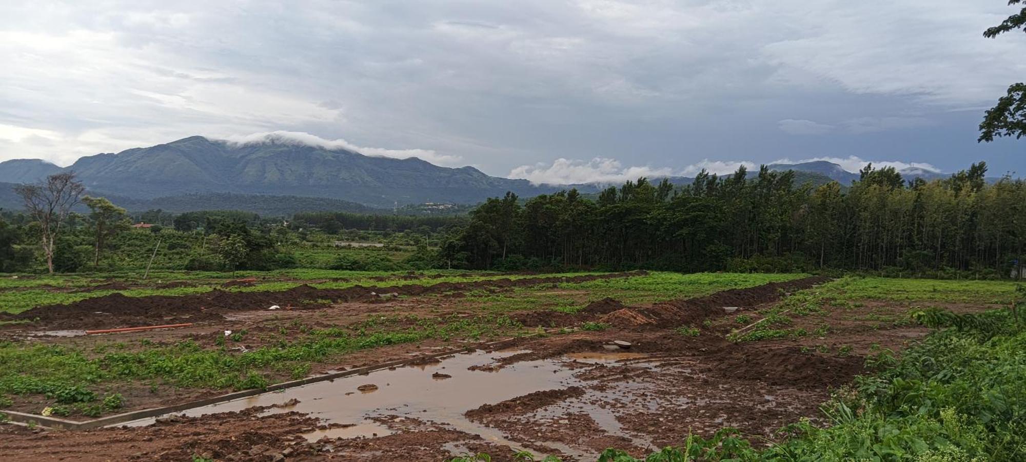 Malgudi Mane Homestay Чикмагалур Экстерьер фото