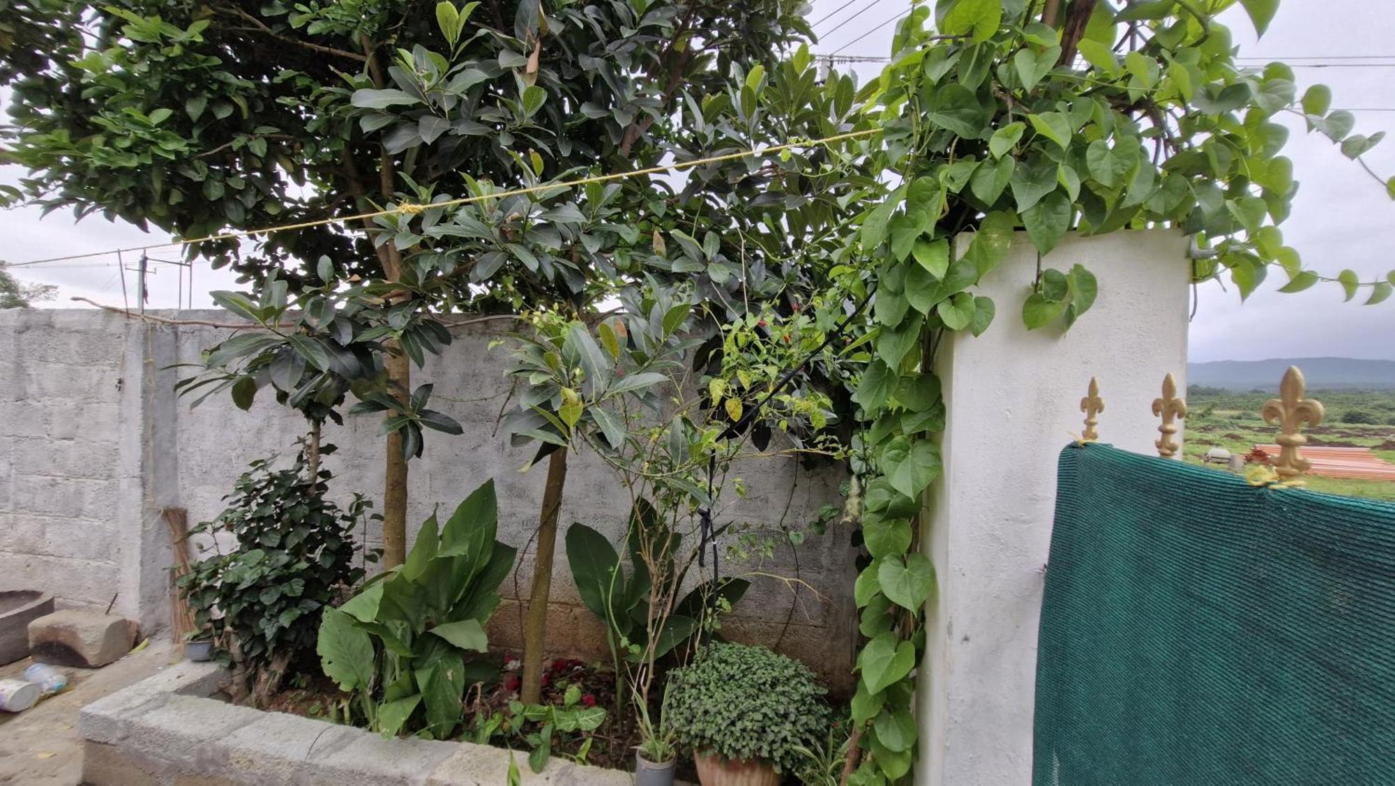 Malgudi Mane Homestay Чикмагалур Экстерьер фото