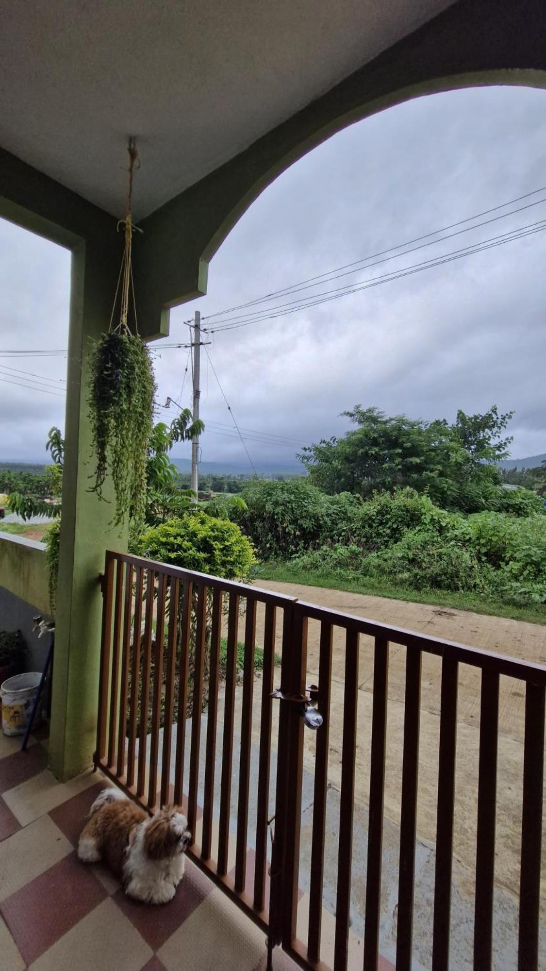 Malgudi Mane Homestay Чикмагалур Экстерьер фото