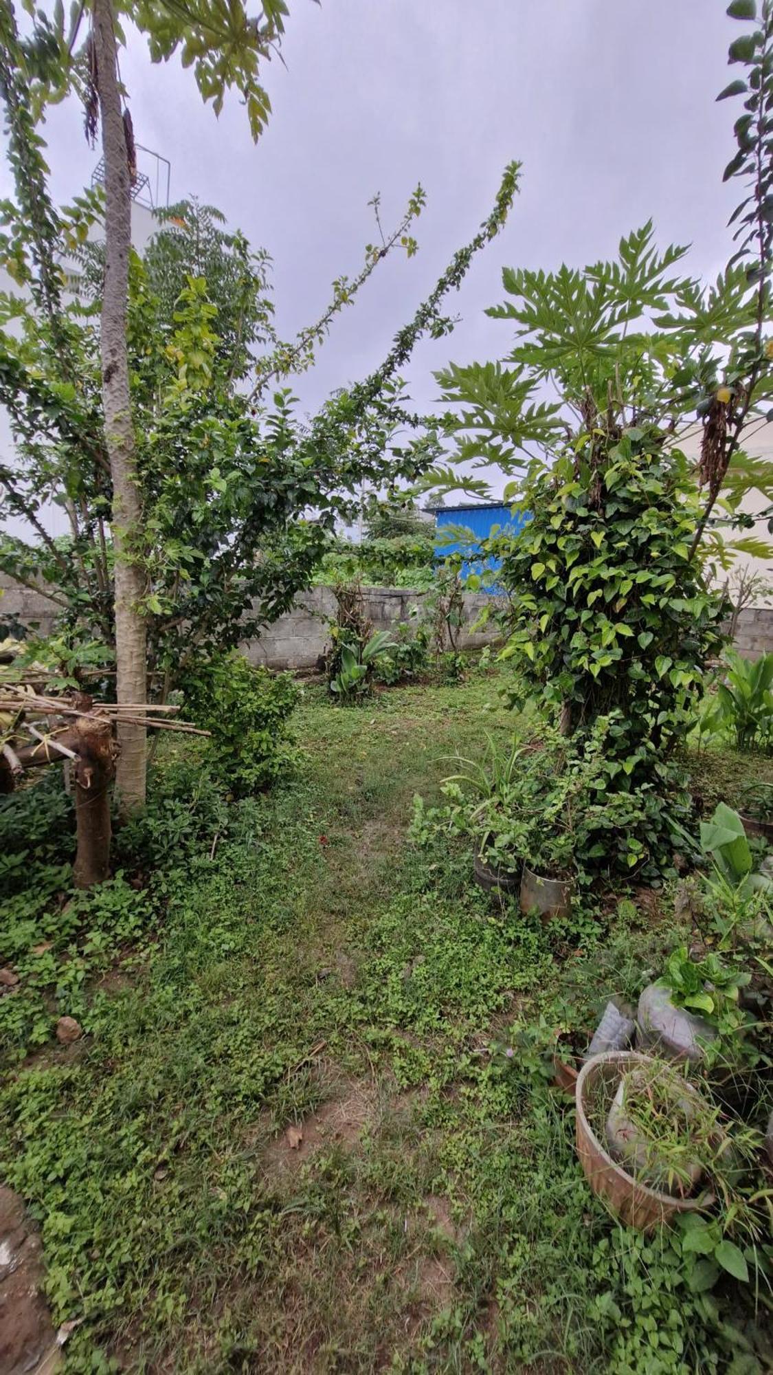 Malgudi Mane Homestay Чикмагалур Экстерьер фото